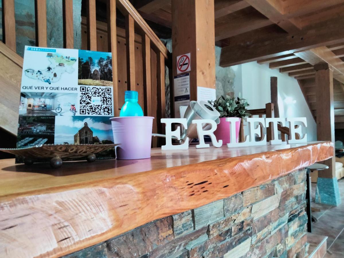 Agroturismo Erlete Goikoa -Estamos En El Camino De Santiago -We Are On The Camino De Santiago 德巴 外观 照片