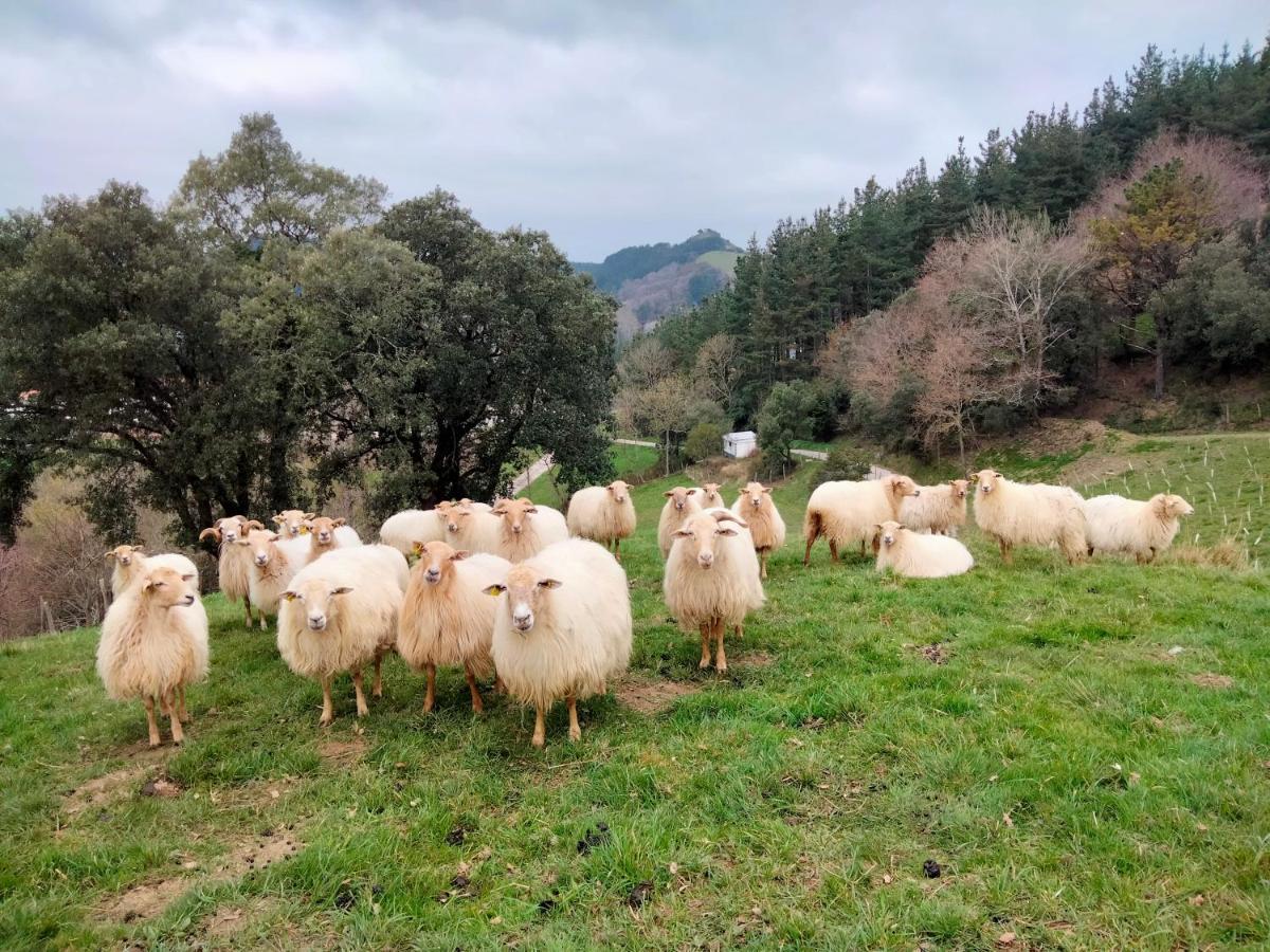 Agroturismo Erlete Goikoa -Estamos En El Camino De Santiago -We Are On The Camino De Santiago 德巴 外观 照片