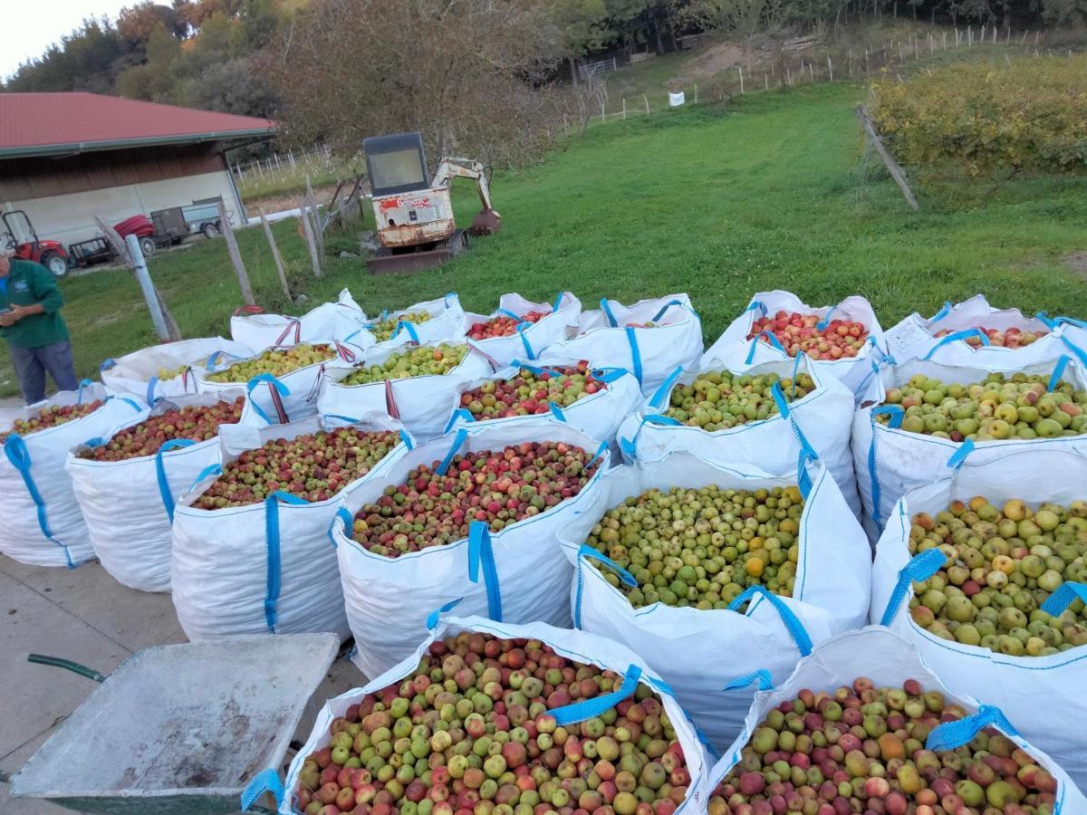 Agroturismo Erlete Goikoa -Estamos En El Camino De Santiago -We Are On The Camino De Santiago 德巴 外观 照片