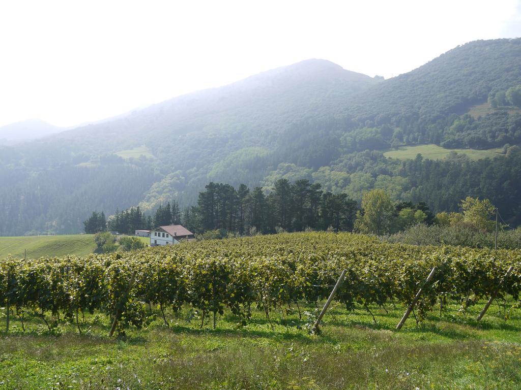 Agroturismo Erlete Goikoa -Estamos En El Camino De Santiago -We Are On The Camino De Santiago 德巴 外观 照片
