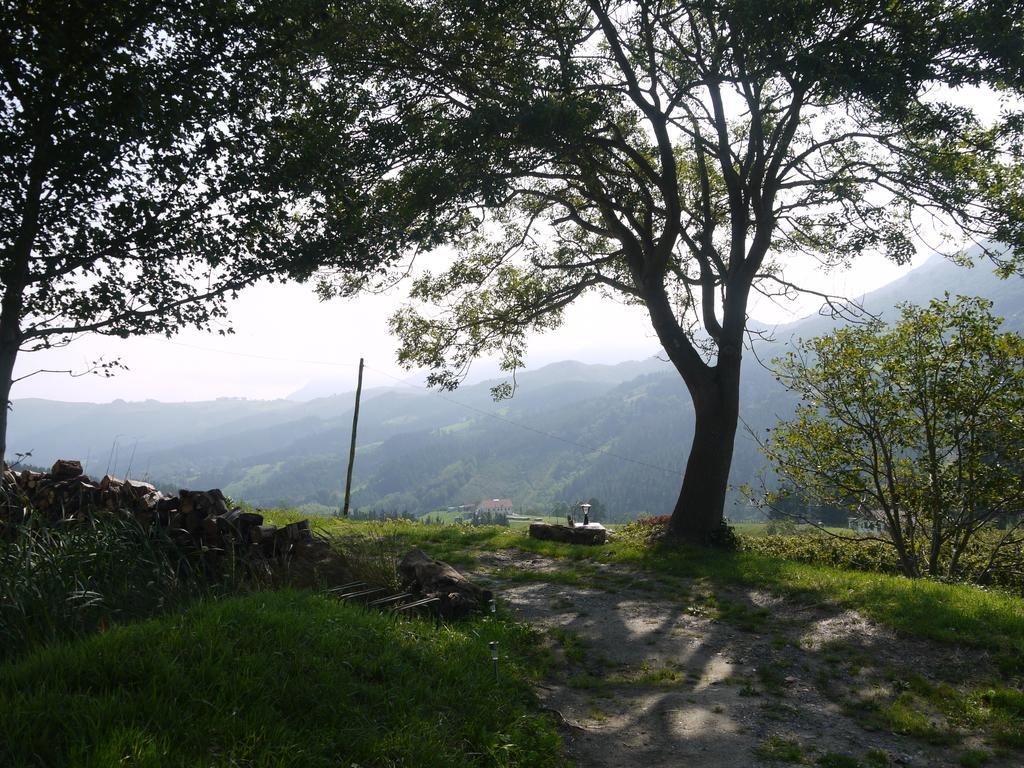 Agroturismo Erlete Goikoa -Estamos En El Camino De Santiago -We Are On The Camino De Santiago 德巴 外观 照片