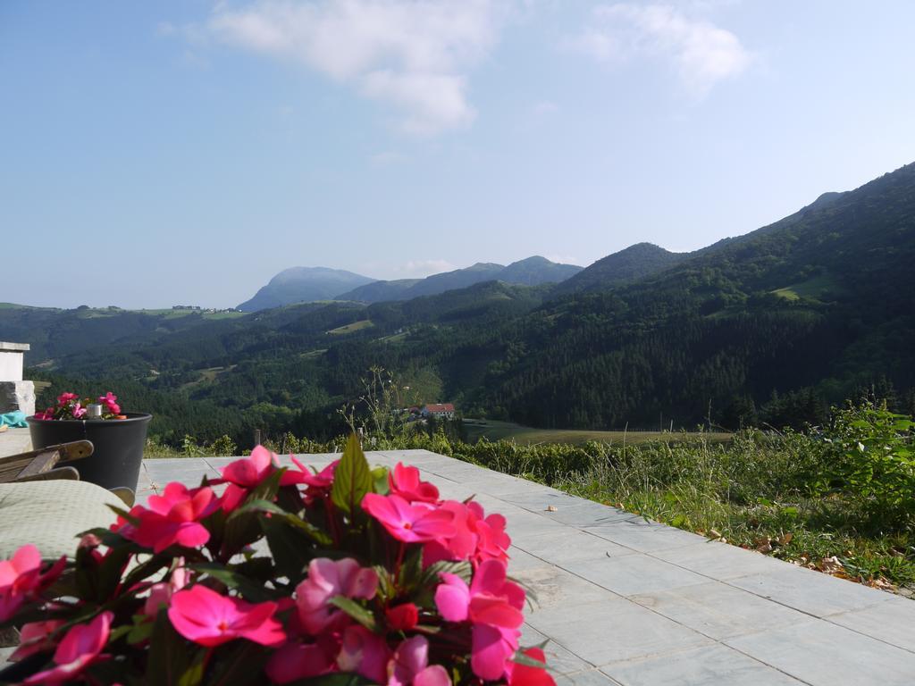 Agroturismo Erlete Goikoa -Estamos En El Camino De Santiago -We Are On The Camino De Santiago 德巴 外观 照片