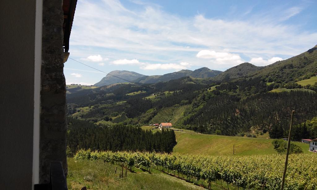 Agroturismo Erlete Goikoa -Estamos En El Camino De Santiago -We Are On The Camino De Santiago 德巴 外观 照片