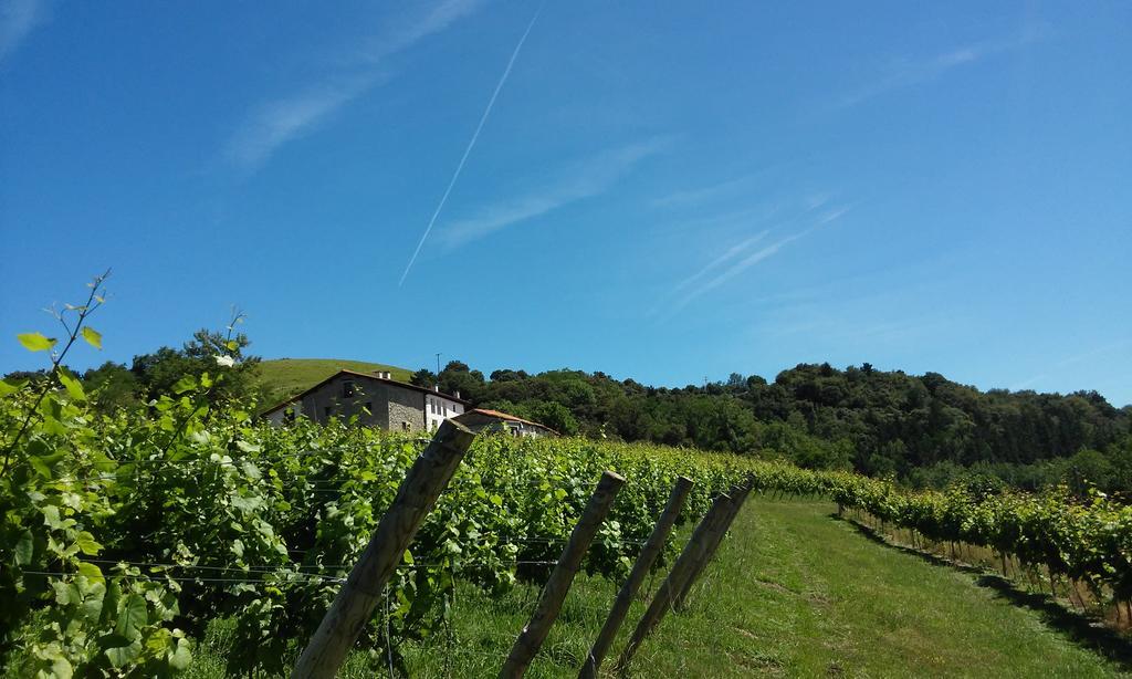 Agroturismo Erlete Goikoa -Estamos En El Camino De Santiago -We Are On The Camino De Santiago 德巴 外观 照片