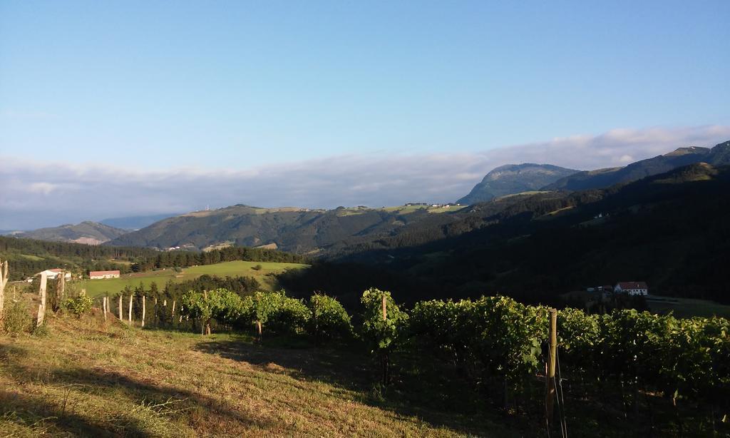 Agroturismo Erlete Goikoa -Estamos En El Camino De Santiago -We Are On The Camino De Santiago 德巴 外观 照片