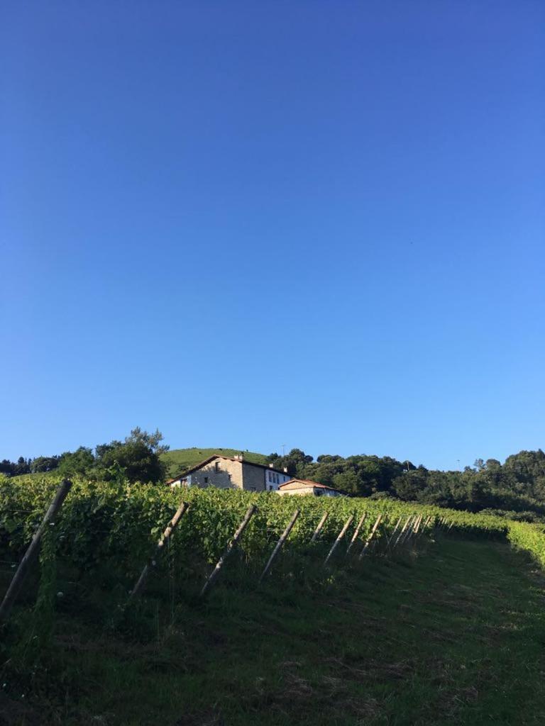 Agroturismo Erlete Goikoa -Estamos En El Camino De Santiago -We Are On The Camino De Santiago 德巴 外观 照片