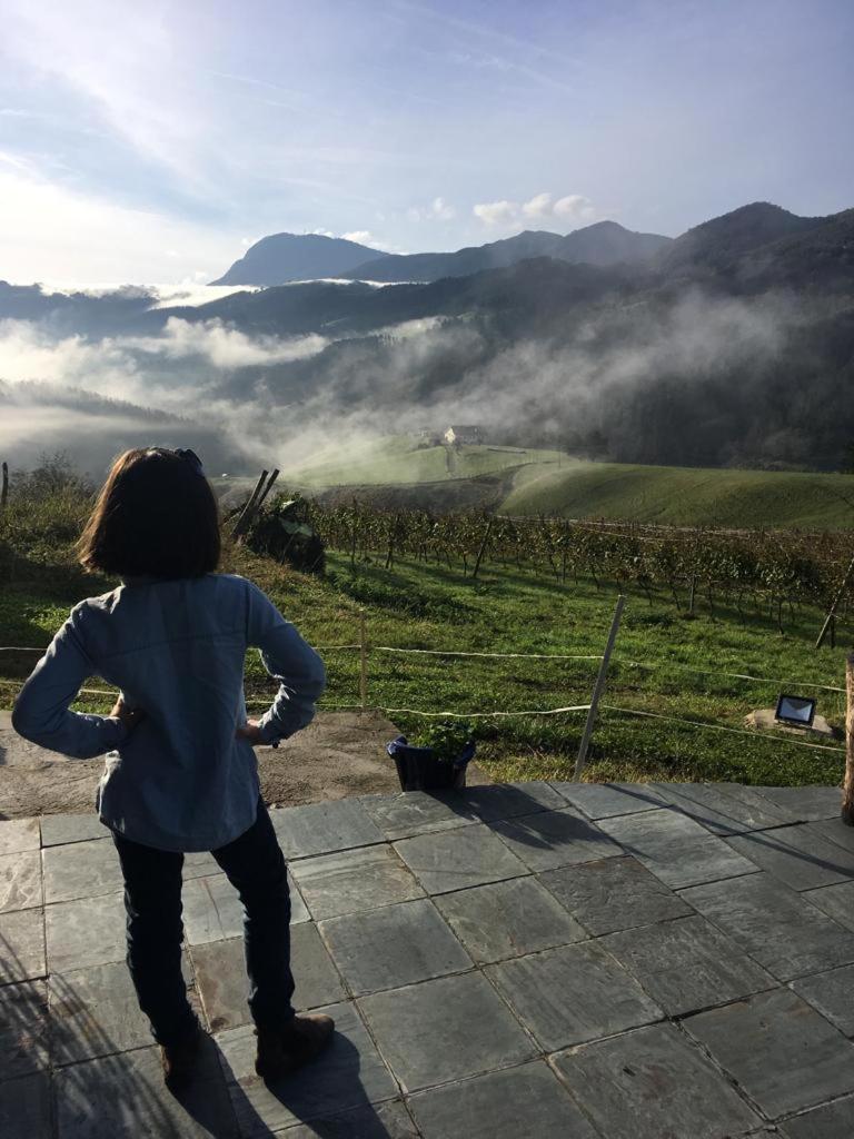 Agroturismo Erlete Goikoa -Estamos En El Camino De Santiago -We Are On The Camino De Santiago 德巴 外观 照片