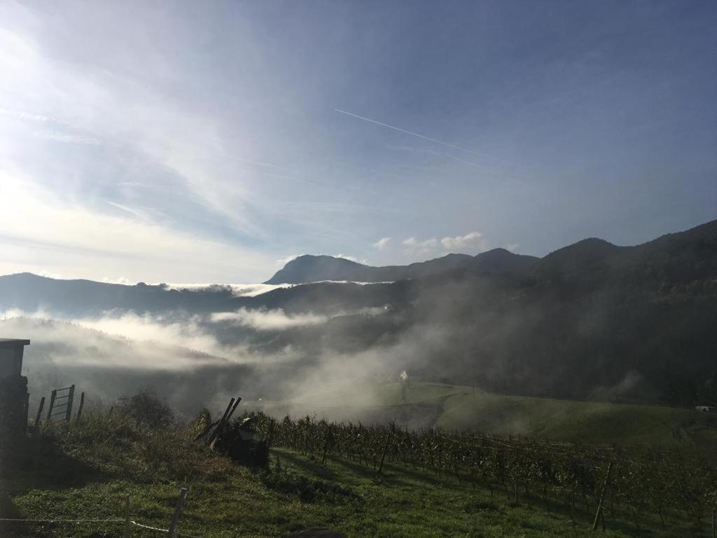 Agroturismo Erlete Goikoa -Estamos En El Camino De Santiago -We Are On The Camino De Santiago 德巴 外观 照片