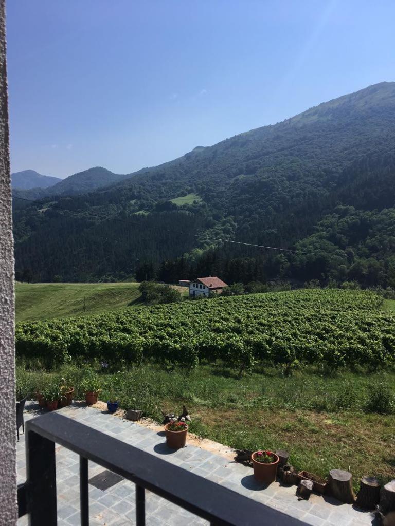 Agroturismo Erlete Goikoa -Estamos En El Camino De Santiago -We Are On The Camino De Santiago 德巴 外观 照片