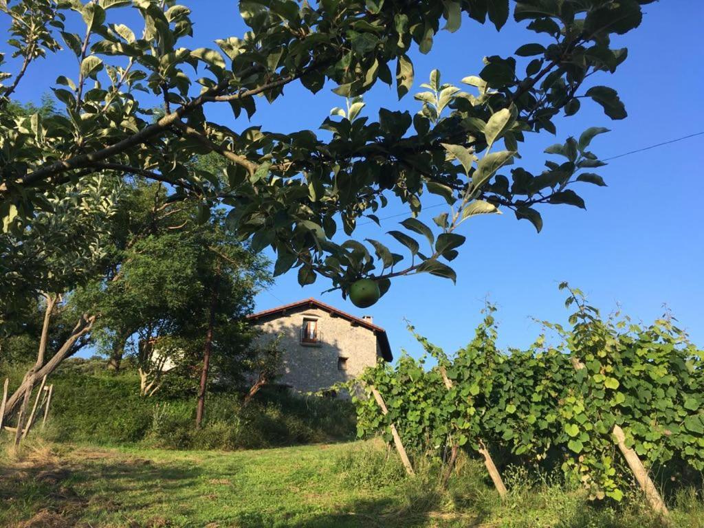 Agroturismo Erlete Goikoa -Estamos En El Camino De Santiago -We Are On The Camino De Santiago 德巴 外观 照片